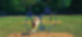 barkpark_hoop_jump