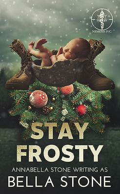 protector romance books