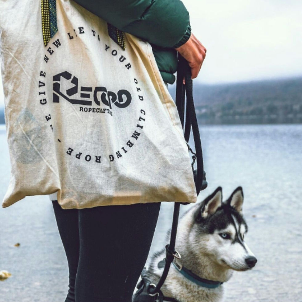 Miniatura: tote bag