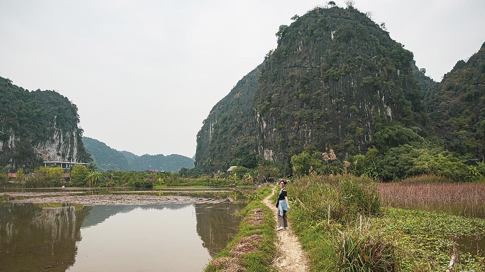 vietnam_0-314_petit.jpg
