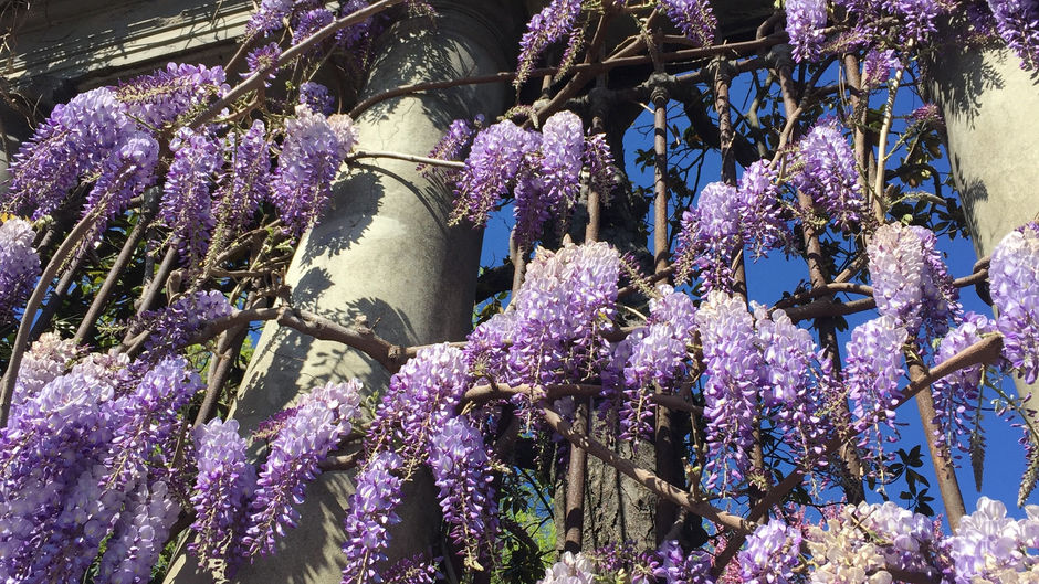 Week 12: Reduce Reuse Recycle