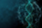 272837820_10159650430131718_5040414354510944358_n.jpg
