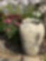 IMG_6503_edited.png