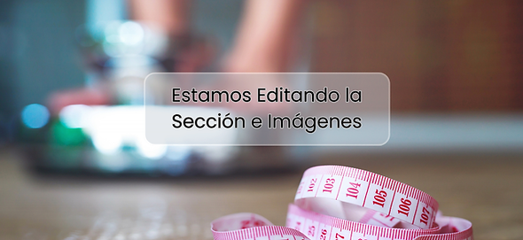 Estamos Editando la Sección e Imágenes.png