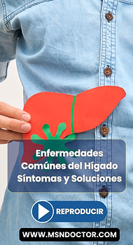 El Hígado | Enfermedades Frecuentes | MSN Doctor Noticias