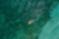 DJI_0750.jpg