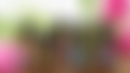 Why we don’t buy doTERRA on Amazon.