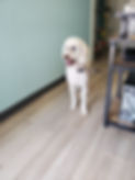 20220610_131402.jpg