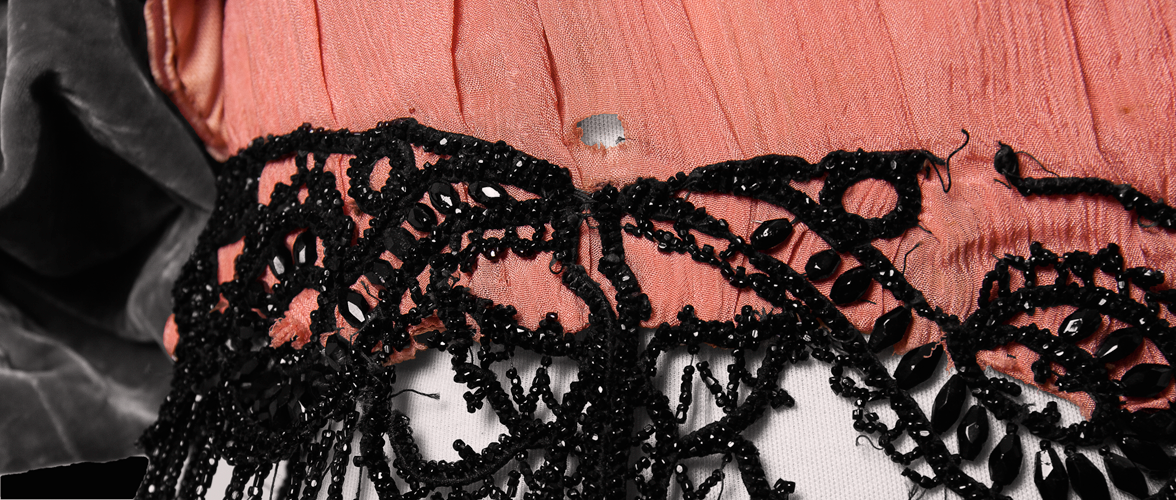 1890's Bodice (detail)