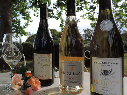 Dégustation au Domaine de Chevilly de Qu