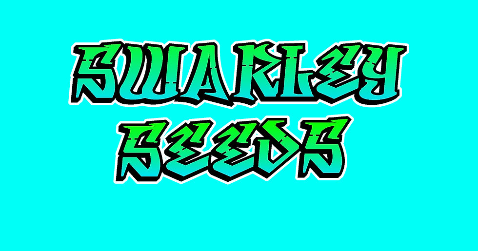 Wix Header image.jpeg