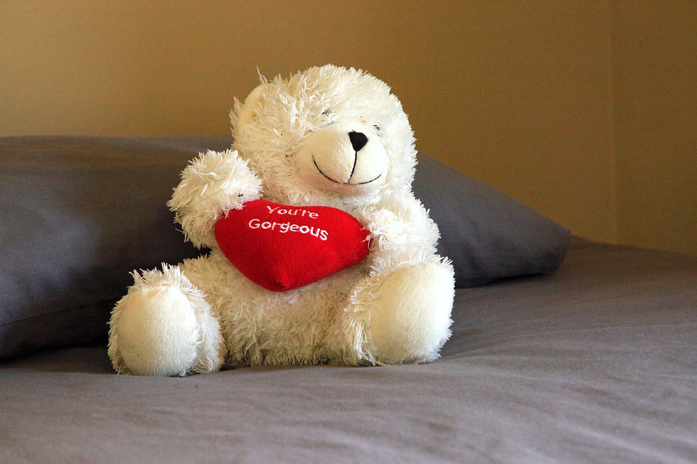 TeddyBear