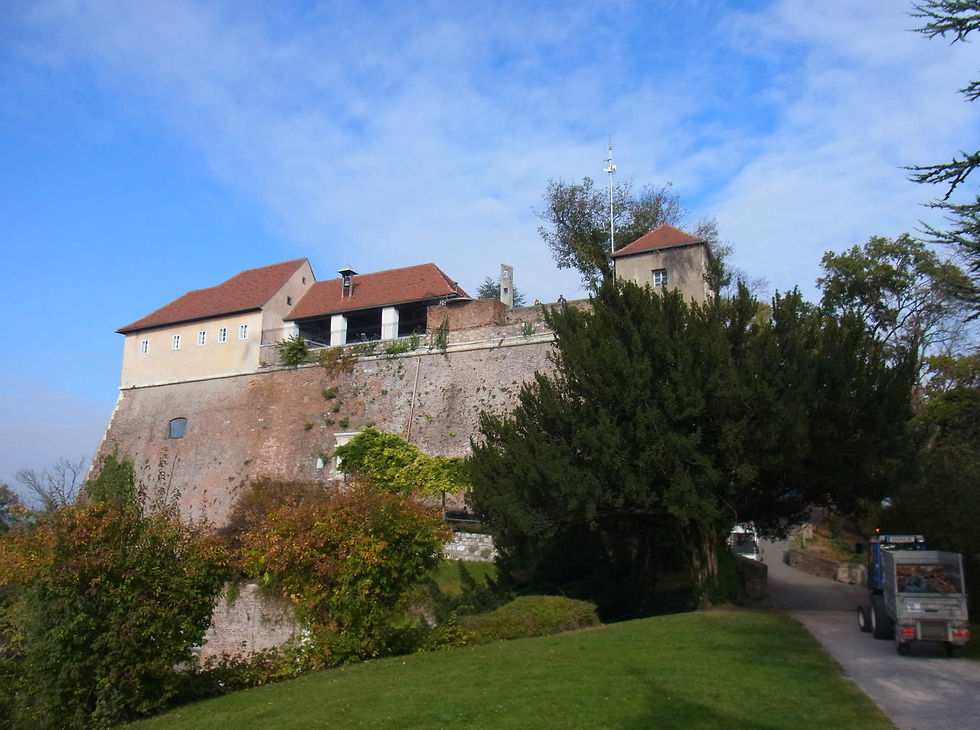 141029-1122.jpg