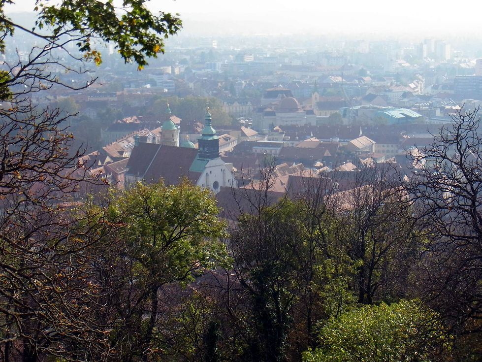 141029-1109.jpg