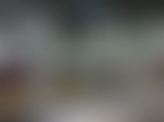 Les façades de quais Portalp à Vienne