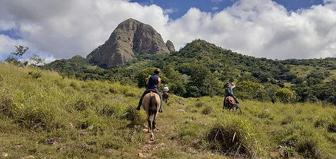 WhatsApp Image 2021-08-30 at 3.46.50 PM.jpeg