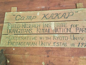 12. Kutai National Park, camp de base