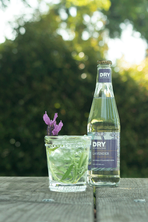 GIF Image of Lavender DRY Sparkling mocktails