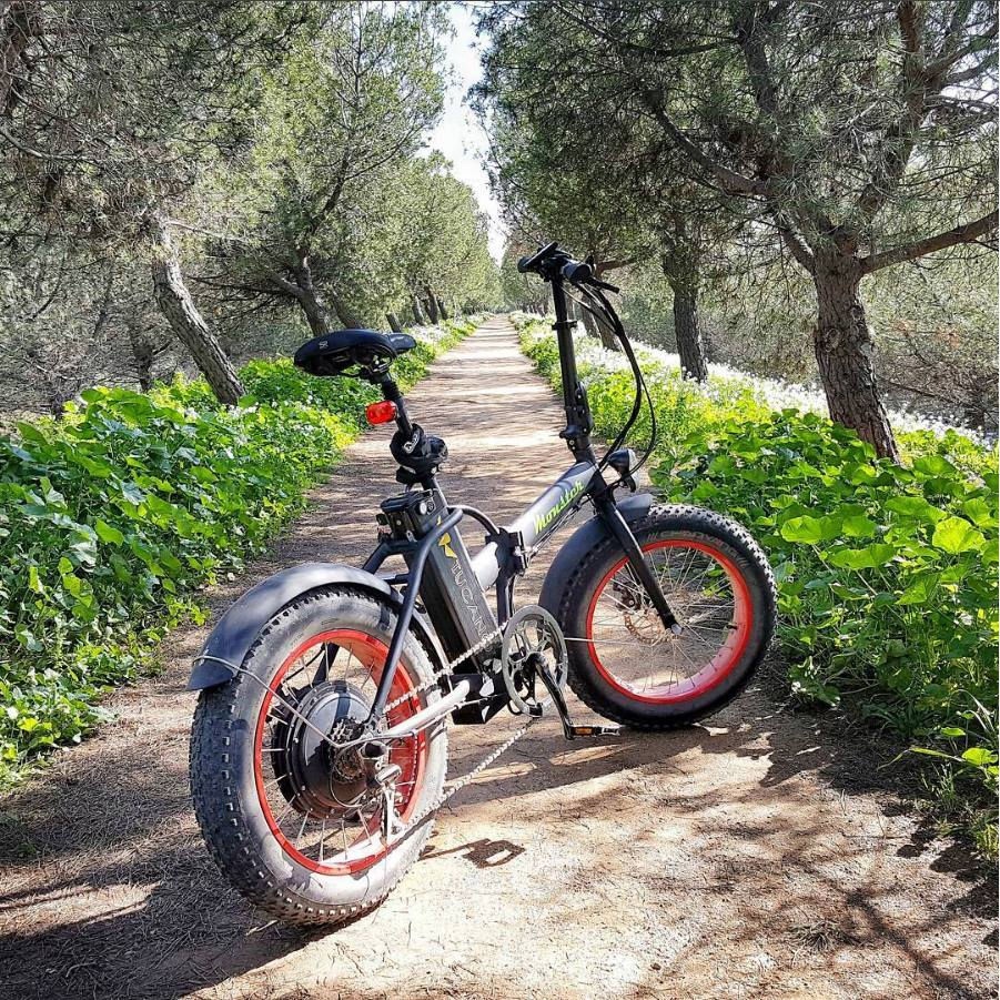 TUCANO MONSTER 20" PIEGHEVOLE Limited