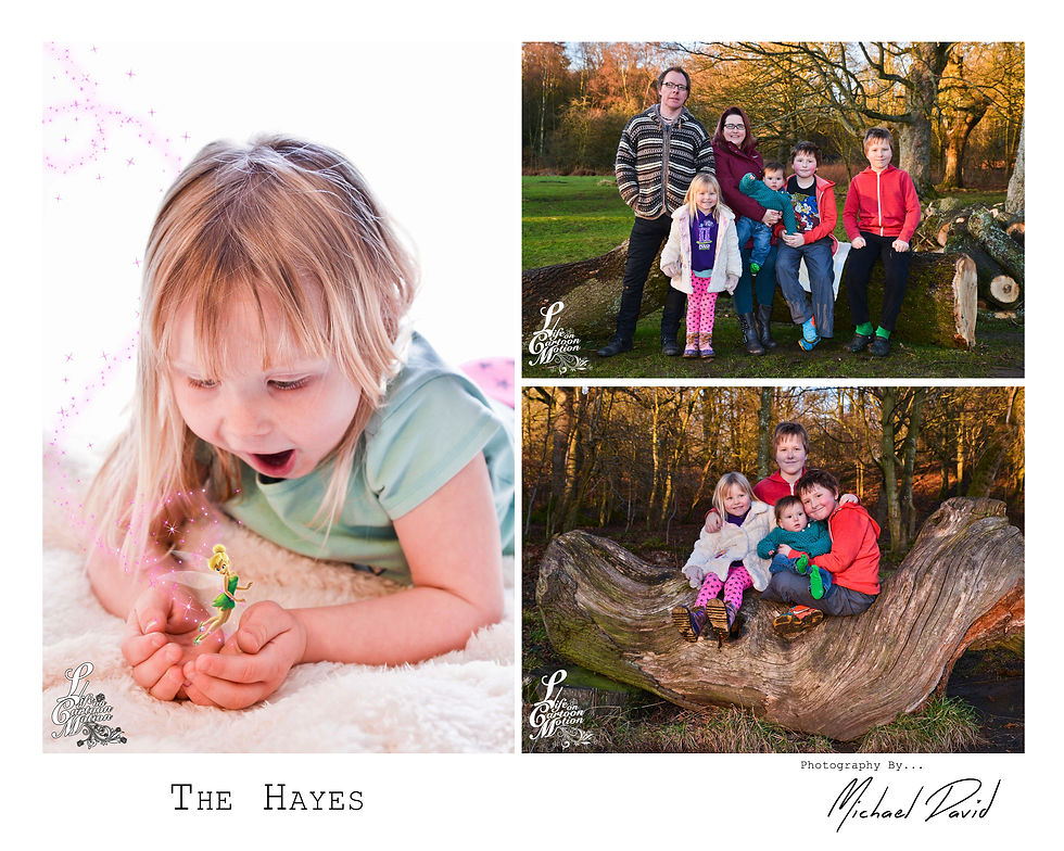 The Hayes