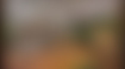 The Influence of Native Americans on European Patterns of Settlement on North America