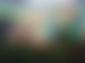 SENAI certifica 380 alunos no encerramento do programa Capacita COP 30, em Belém