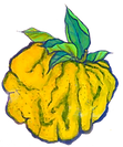 DSCN1802_edited.png