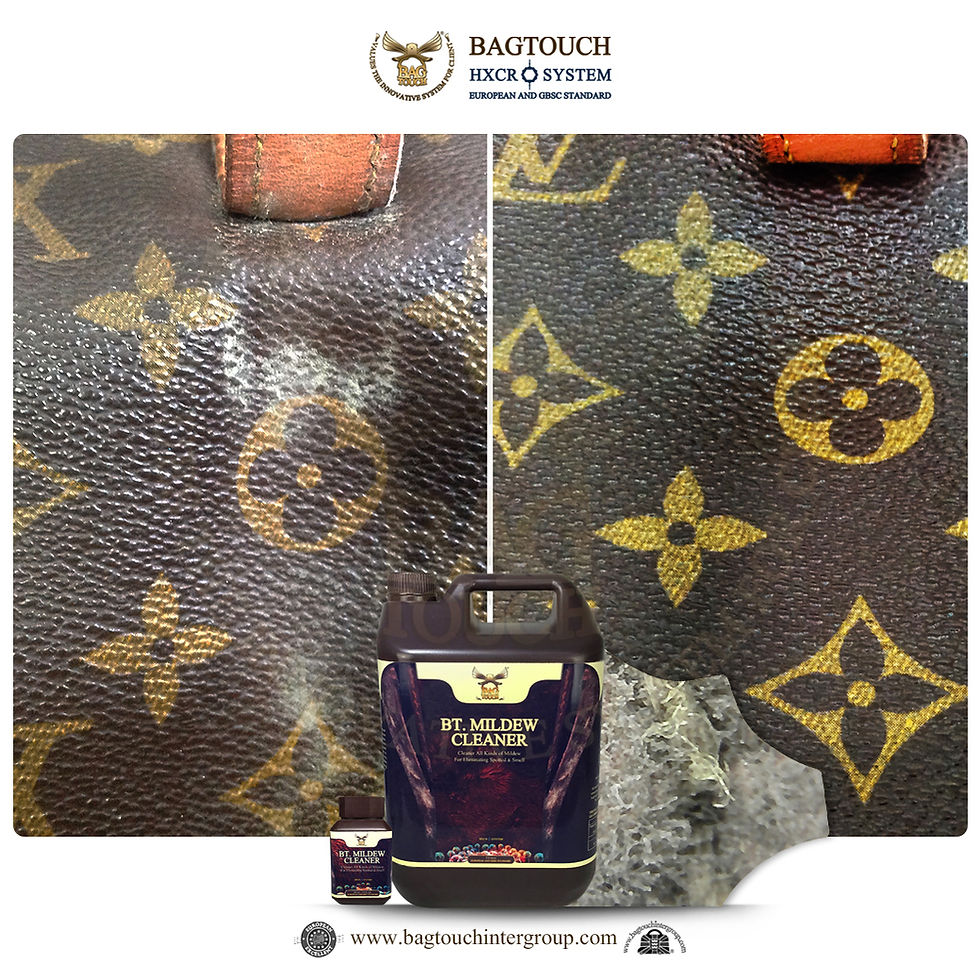 Thumbnail: BT.LEATHER MILDEW CLEANER