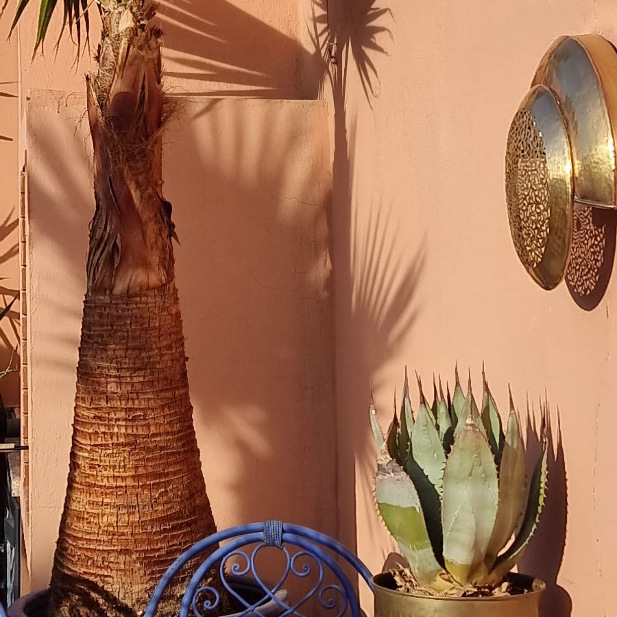 Jardin d'un Riad à Marrakech