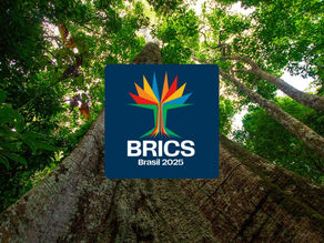 Parlamentares do BRICS ampliam cooperação em inteligência artificial e cidades digitais