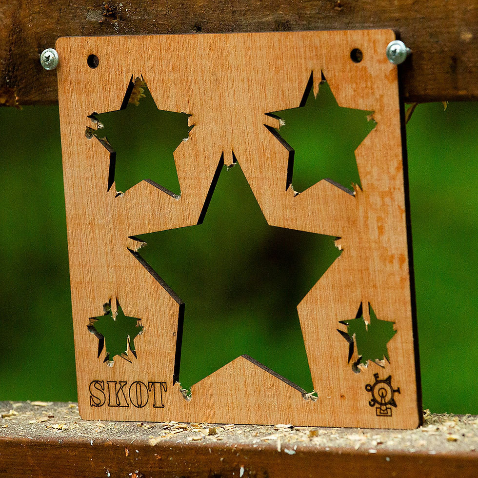 Thumbnail: Wooden target with five stars of different sizes knocked out