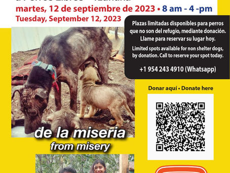 Race to 100% Sterilization: Our First Clinic!