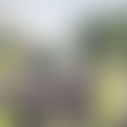 The Most Popular Pride Events in the World