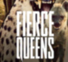 quibi-fierce-queens-social.jpeg
