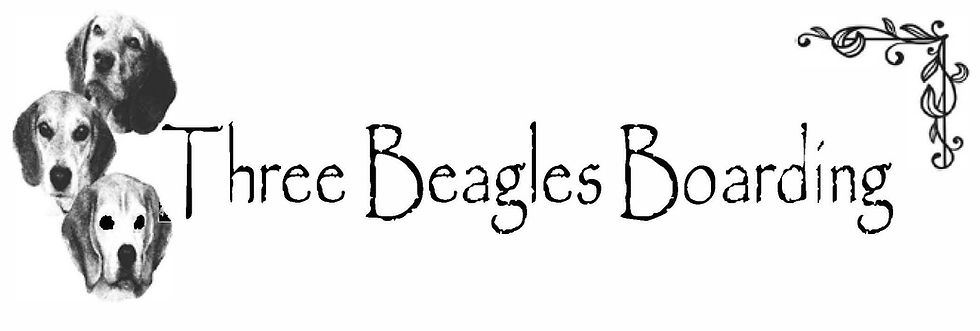 3 Beagles Logo with swirl cropped.jpg