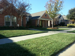 www.parfectgrass.com