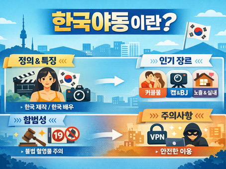 한국야동이란 의미, 특징, 장르, 합법 여부 총정리  야동코리아 정보