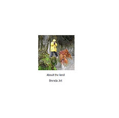 Land art book