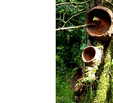 Land art book