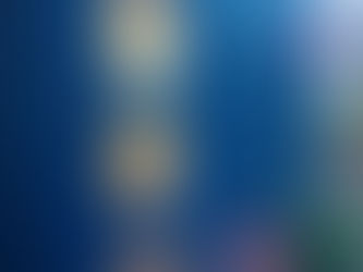 Artshed - studio in my garden update