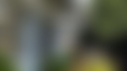 LEGÍTIMA DEFESA: MATOU O EX NAMORADO!