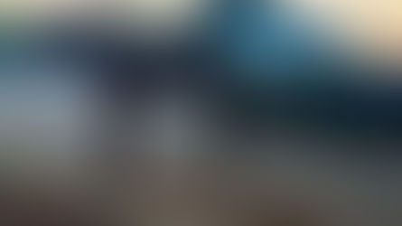 ACIDENTE COM CAVALO EM SÃO BORJA! 