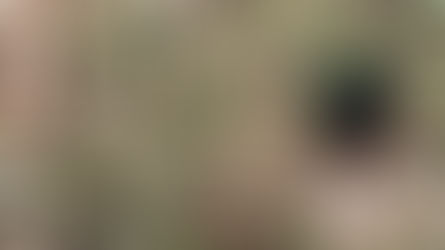 OSSADA HUMANA É ENCONTRADA NO INTERIOR!