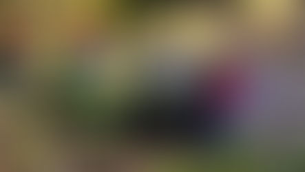 Acidente na ERS-324 em Casca deixa motorista de caminhonete ferido.