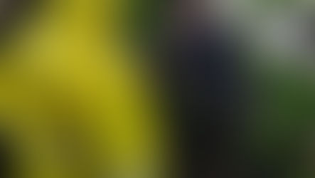 PATRAM de Santo Ângelo Recupera Motocicleta Submersa no Rio Ijuí com Chassi Adulterado.