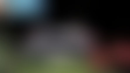 Tragédia na Estrada: Colisão Fatal Próximo ao Trevo do Caaró.