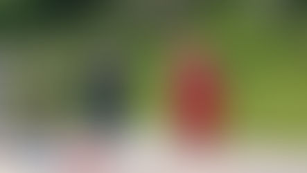 Acidente Fatal na BR 290 em Minas do Leão Choca a Região.