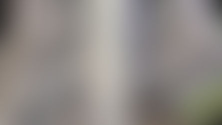 Detalhe por detalhe: Escaneamento 3D do Caff garantiu precisão para maior pista de skate do mundo.