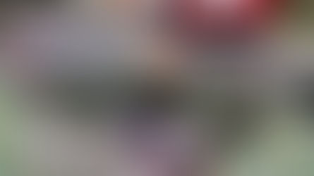 Caminhão com carga de leite condensado despenca em ribanceira na ERS-122 em Farroupilha.