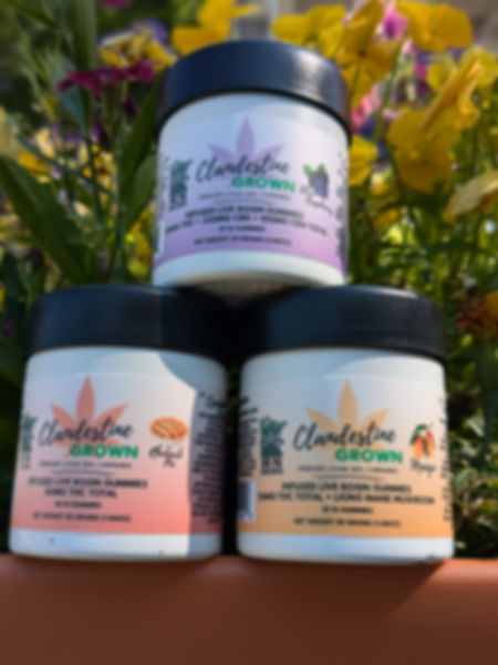 Clandestine Grown Rosin Gummies